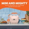 image:imageInstant Pot 4QT RIO Mini 7in1 MultiCooker Pressure Cooker Slow cook Saut Steam Rice Maker Yogurt amp Warmer Eucalyptus 4 QuartsRosewater